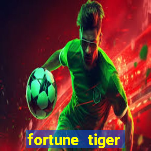 fortune tiger plataforma nova